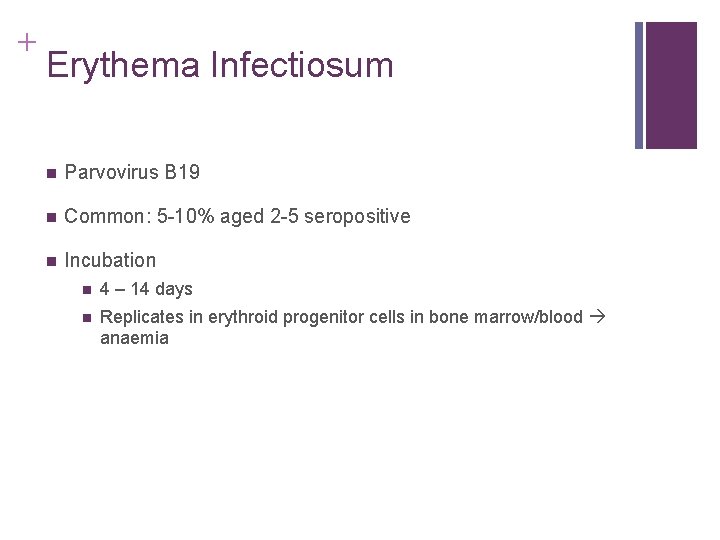 + Erythema Infectiosum n Parvovirus B 19 n Common: 5 -10% aged 2 -5 + Erythema Infectiosum n Parvovirus B 19 n Common: 5 -10% aged 2 -5
