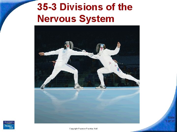 35 -3 Divisions of the Nervous System Slide 1 of 37 Copyright Pearson Prentice