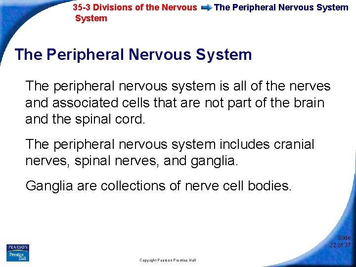 35 -3 Divisions of the Nervous System The Peripheral Nervous System The peripheral nervous