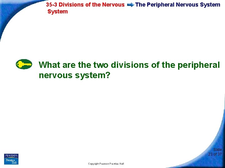 35 -3 Divisions of the Nervous System The Peripheral Nervous System What are the