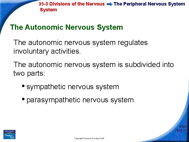 35 -3 Divisions of the Nervous System The Peripheral Nervous System The Autonomic Nervous