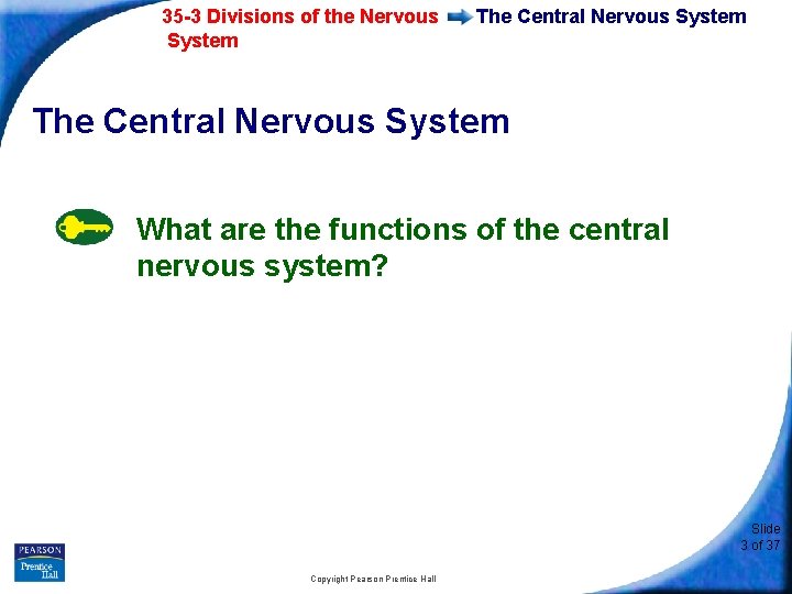 35 -3 Divisions of the Nervous System The Central Nervous System What are the