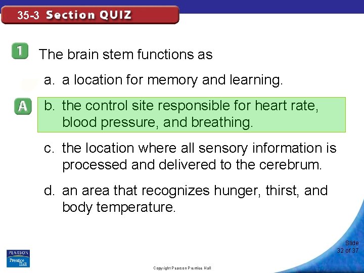 35 -3 The brain stem functions as a. a location for memory and learning.