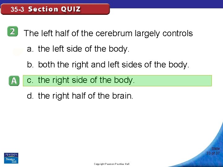 35 -3 The left half of the cerebrum largely controls a. the left side