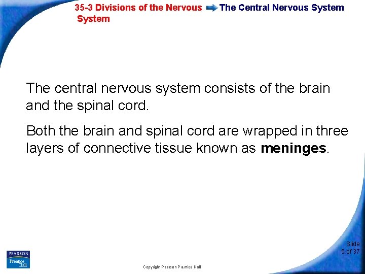 35 -3 Divisions of the Nervous System The Central Nervous System The central nervous