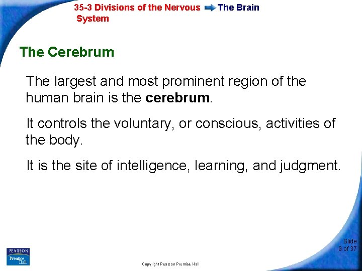 35 -3 Divisions of the Nervous System The Brain The Cerebrum The largest and