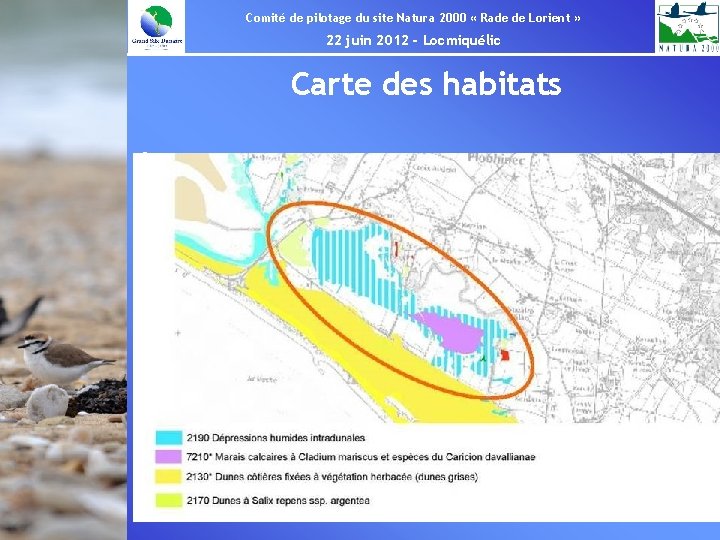 Comité de pilotage du site Natura 2000 « Rade de Lorient » 22 juin