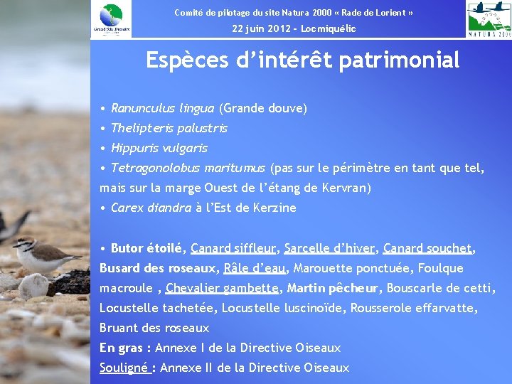 Comité de pilotage du site Natura 2000 « Rade de Lorient » 22 juin