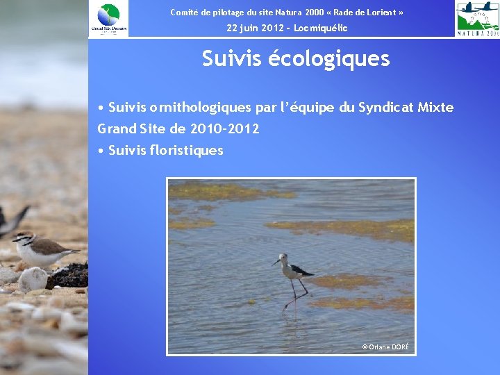 Comité de pilotage du site Natura 2000 « Rade de Lorient » 22 juin