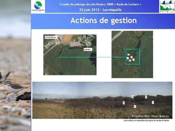 Comité de pilotage du site Natura 2000 « Rade de Lorient » 22 juin