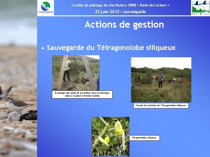 Comité de pilotage du site Natura 2000 « Rade de Lorient » 22 juin