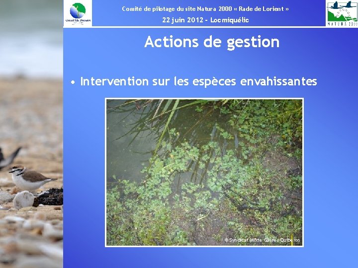 Comité de pilotage du site Natura 2000 « Rade de Lorient » 22 juin