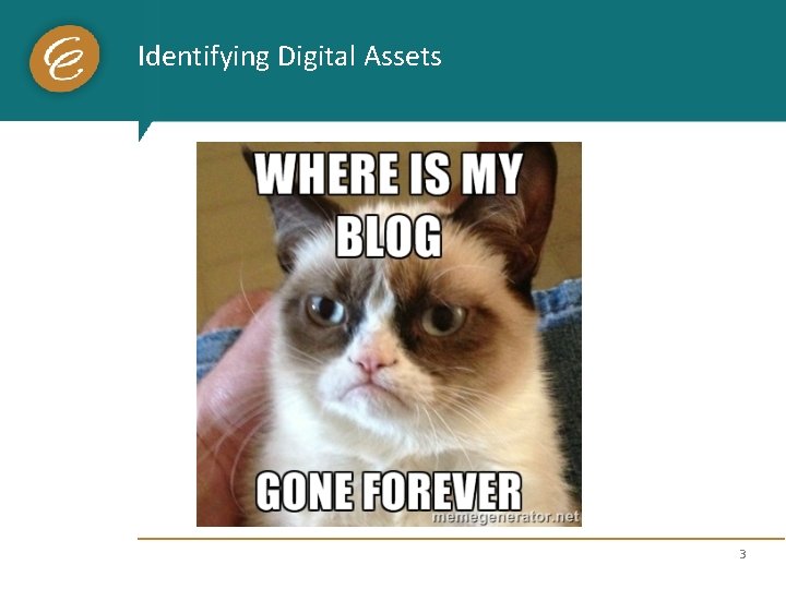 Identifying Digital Assets 3 
