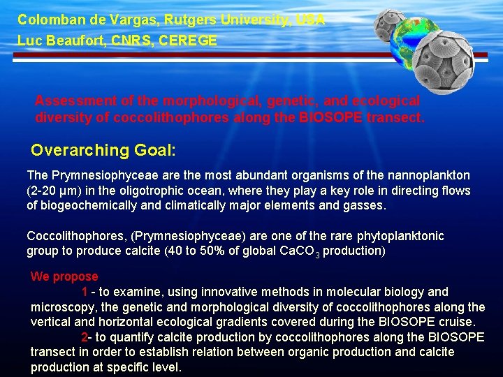 Colomban de Vargas, Rutgers University, USA Luc Beaufort, CNRS, CEREGE Assessment of the morphological,