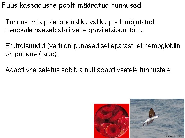 Füüsikaseaduste poolt määratud tunnused Tunnus, mis pole loodusliku valiku poolt mõjutatud: Lendkala naaseb alati