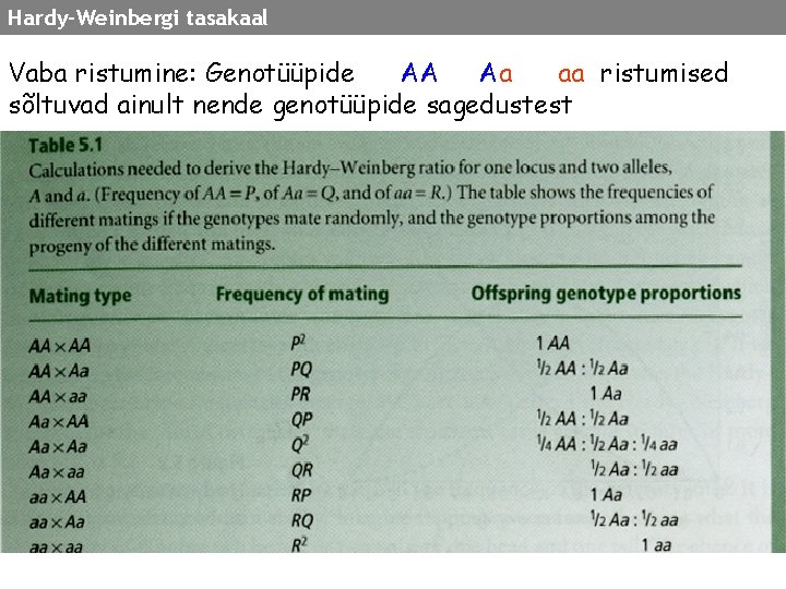 Hardy-Weinbergi tasakaal Vaba ristumine: Genotüüpide AA Aa aa ristumised sõltuvad ainult nende genotüüpide sagedustest
