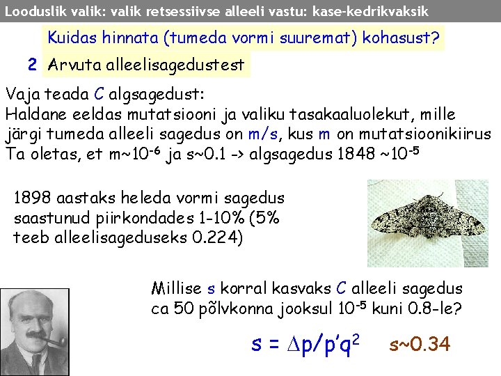 Looduslik valik: valik retsessiivse alleeli vastu: kase-kedrikvaksik Kuidas hinnata (tumeda vormi suuremat) kohasust? 2
