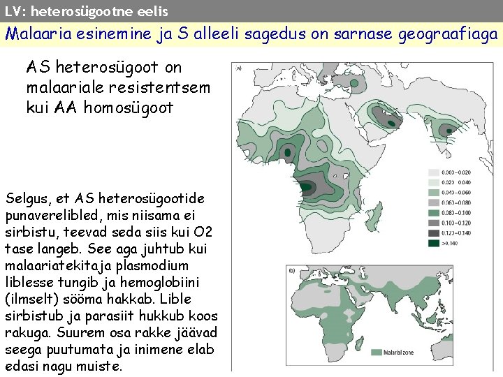 LV: heterosügootne eelis Malaaria esinemine ja S alleeli sagedus on sarnase geograafiaga AS heterosügoot