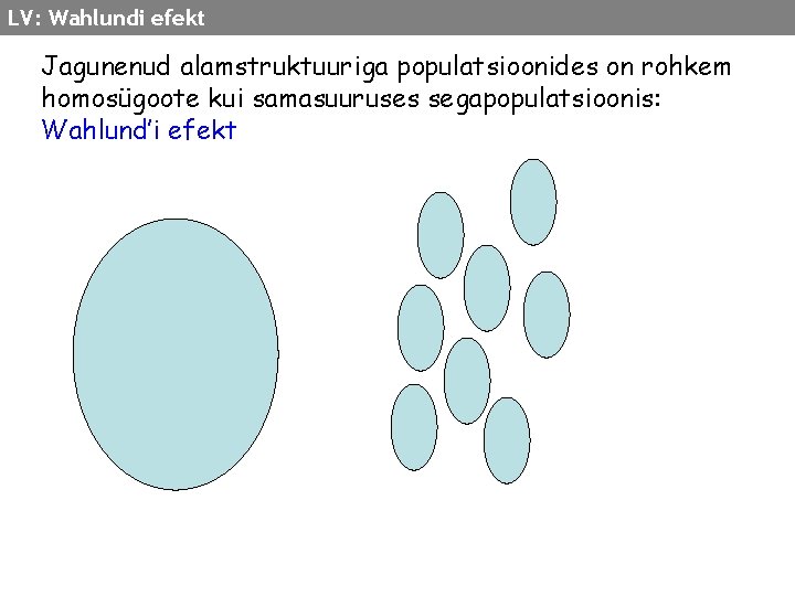 LV: Wahlundi efekt Jagunenud alamstruktuuriga populatsioonides on rohkem homosügoote kui samasuuruses segapopulatsioonis: Wahlund’i efekt
