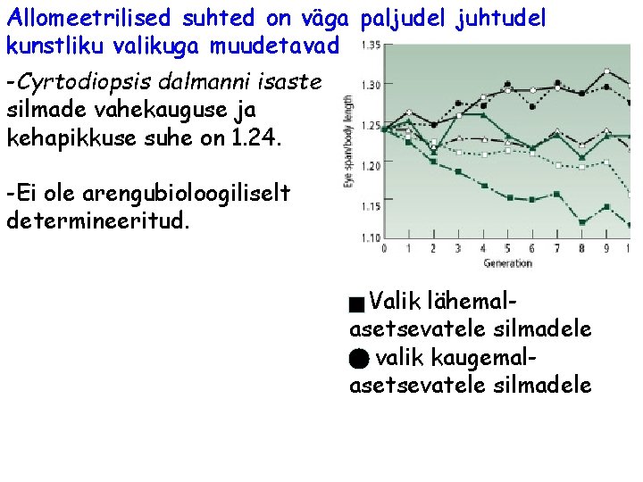 Allomeetrilised suhted on väga paljudel juhtudel kunstliku valikuga muudetavad -Cyrtodiopsis dalmanni isaste silmade vahekauguse