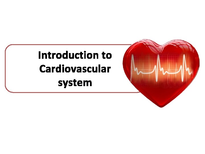 Introduction to Cardiovascular system 