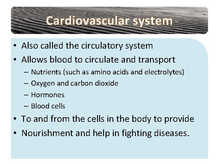 Cardiovascular system • Also called the circulatory system • Allows blood to circulate and