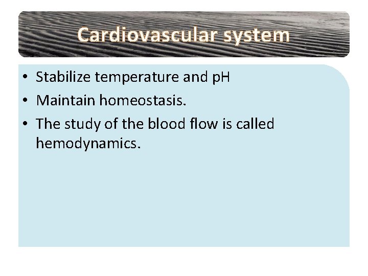 Cardiovascular system • Stabilize temperature and p. H • Maintain homeostasis. • The study