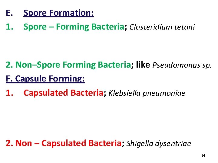 E. 1. Spore Formation: Spore – Forming Bacteria; Closteridium tetani 2. Non–Spore Forming Bacteria;