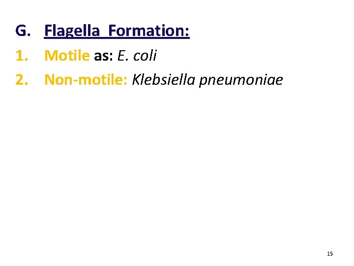 G. Flagella Formation: 1. Motile as: E. coli 2. Non-motile: Klebsiella pneumoniae 15 