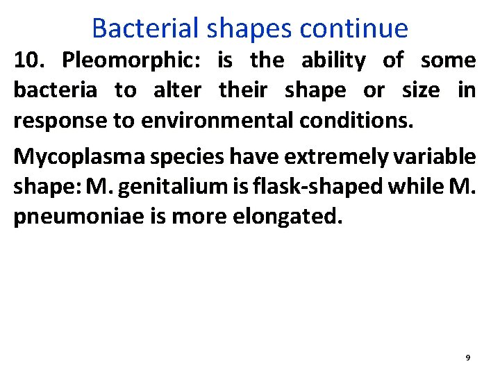 Bacterial shapes continue 10. Pleomorphic: is the ability of some bacteria to alter their
