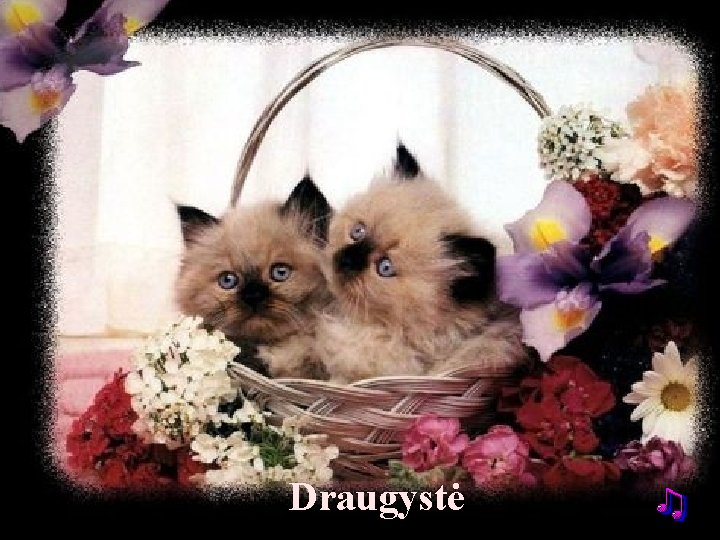 Draugystė 