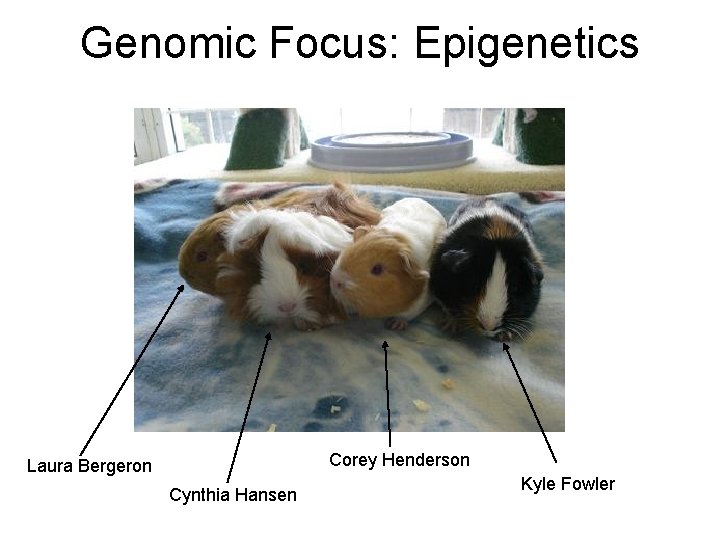 Genomic Focus: Epigenetics Corey Henderson Laura Bergeron Cynthia Hansen Kyle Fowler 