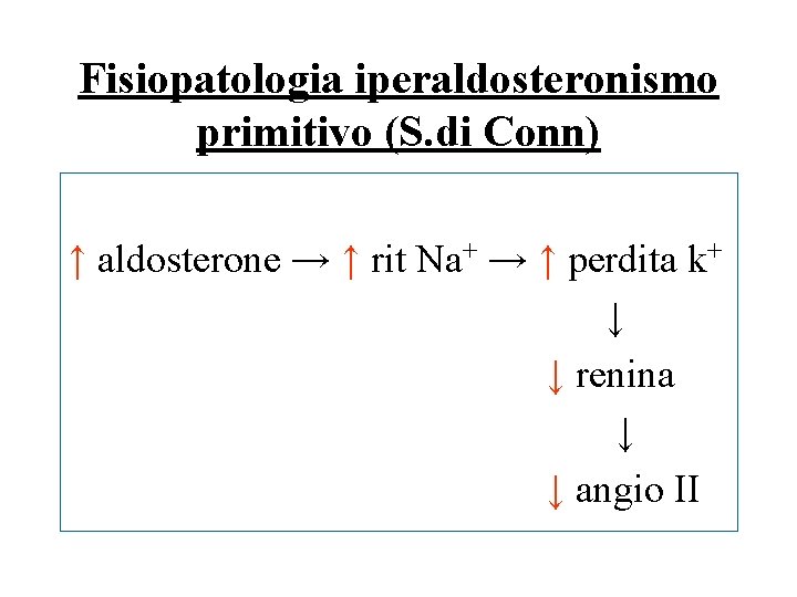 Fisiopatologia iperaldosteronismo primitivo (S. di Conn) ↑ aldosterone → ↑ rit Na+ → ↑