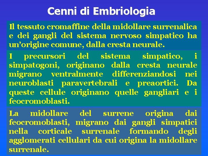 Cenni di Embriologia Il tessuto cromaffine della midollare surrenalica e dei gangli del sistema