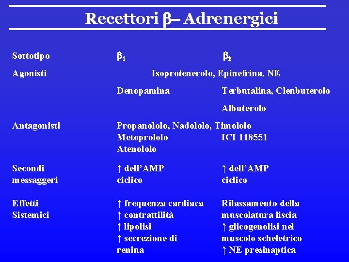 Recettori b- Adrenergici Sottotipo Agonisti b 1 b 2 Isoprotenerolo, Epinefrina, NE Denopamina Terbutalina,