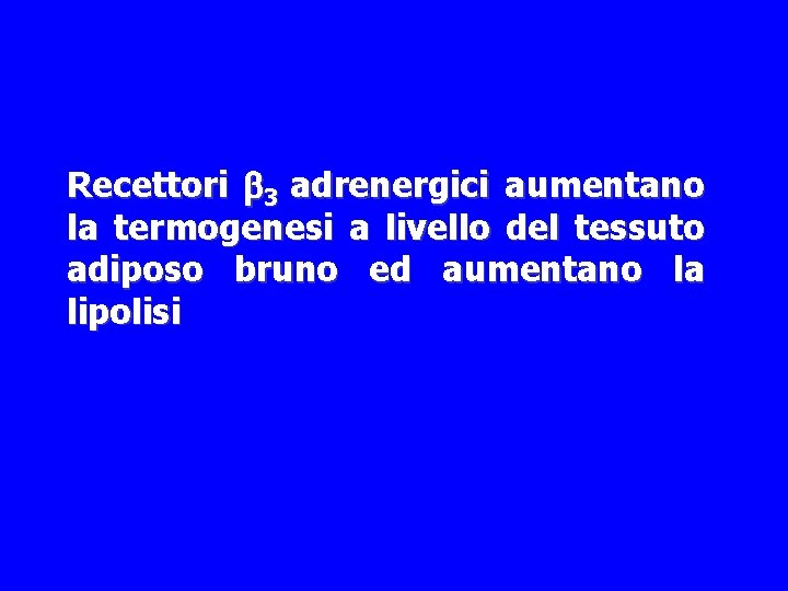 Recettori b 3 adrenergici aumentano la termogenesi a livello del tessuto adiposo bruno ed