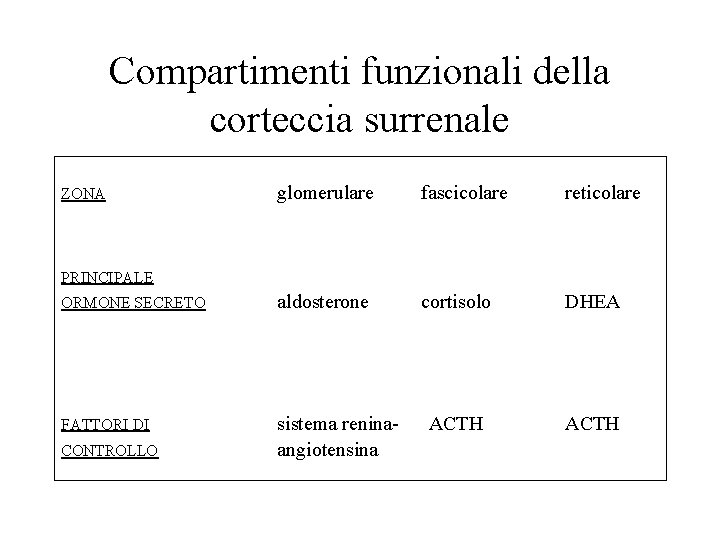 Compartimenti funzionali della corteccia surrenale glomerulare fascicolare reticolare ORMONE SECRETO aldosterone cortisolo DHEA FATTORI