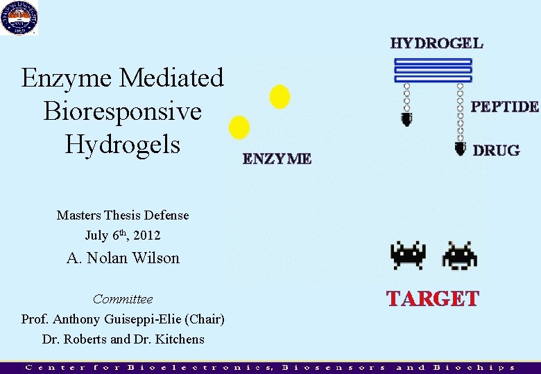 HYDROGEL Enzyme Mediated Bioresponsive Hydrogels PEPTIDE ENZYME DRUG Masters Thesis Defense July 6 th,