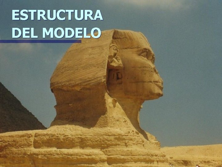 ESTRUCTURA DEL MODELO 