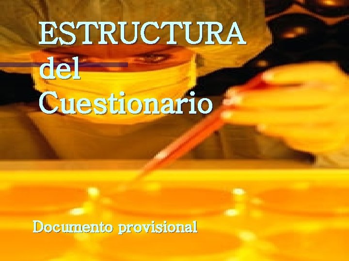 ESTRUCTURA del Cuestionario Documento provisional 