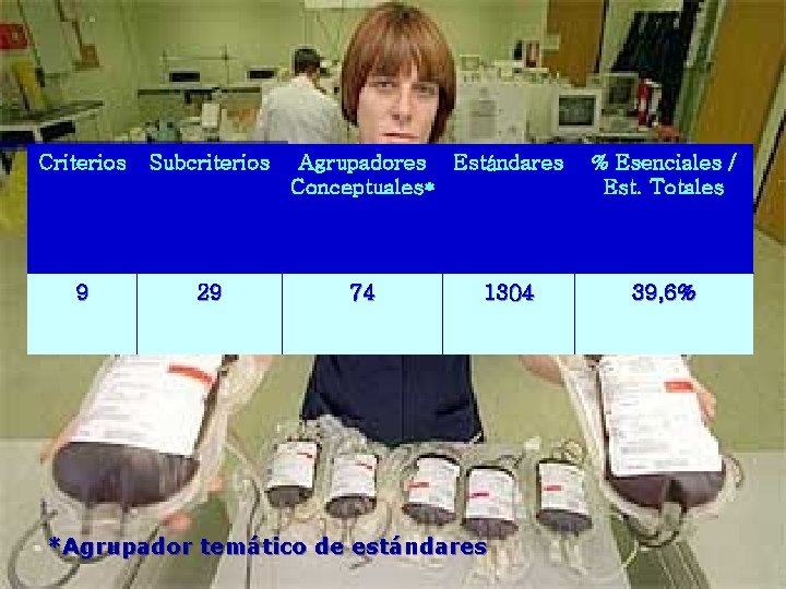 Criterios Subcriterios 9 29 Agrupadores Estándares Conceptuales* 74 1304 *Agrupador temático de estándares %