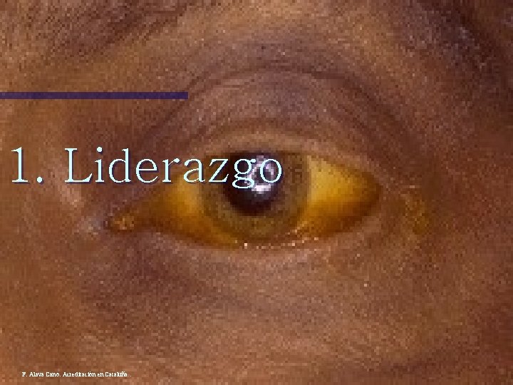 1. Liderazgo F. Alava Cano. Acreditación en Cataluña. 