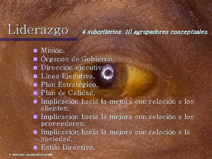Liderazgo n n n n n 4 subcriterios. 10 agrupadores conceptuales. Misión. Órganos de