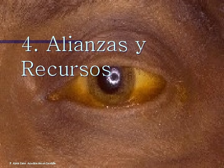 4. Alianzas y Recursos F. Alava Cano. Acreditación en Cataluña. 