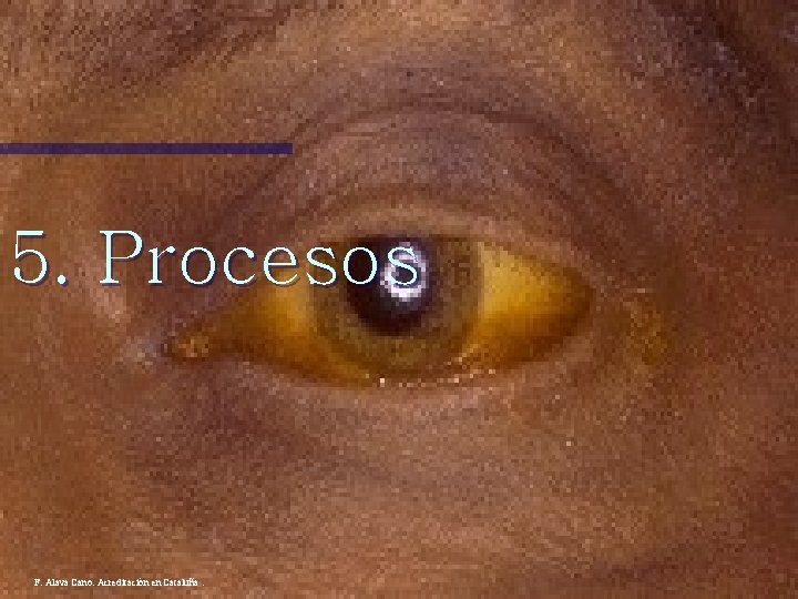 5. Procesos F. Alava Cano. Acreditación en Cataluña. 