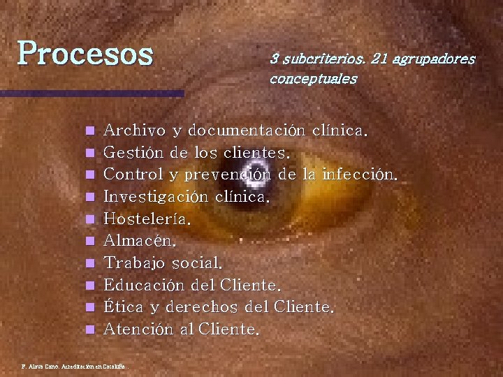 Procesos n n n n n 3 subcriterios. 21 agrupadores conceptuales Archivo y documentación