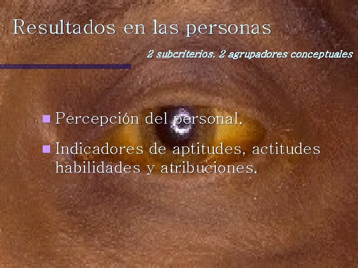 Resultados en las personas 2 subcriterios. 2 agrupadores conceptuales n Percepción n Indicadores del