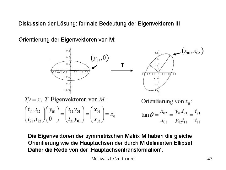 Diskussion der Lösung: formale Bedeutung der Eigenvektoren III Orientierung der Eigenvektoren von M: T