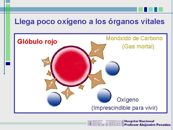 Llega poco oxígeno a los órganos vitales Glóbulo rojo Monóxido de Carbono (Gas mortal)