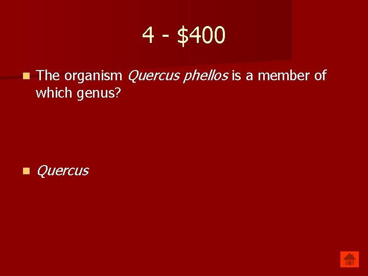 4 - $400 n The organism Quercus phellos is a member of which genus?